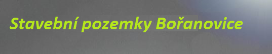 boranovice.com